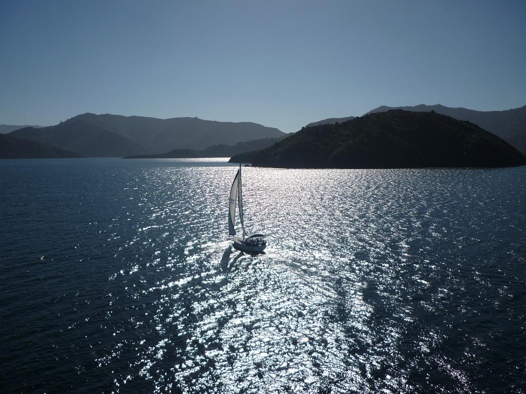 New_Zealand (734).JPG